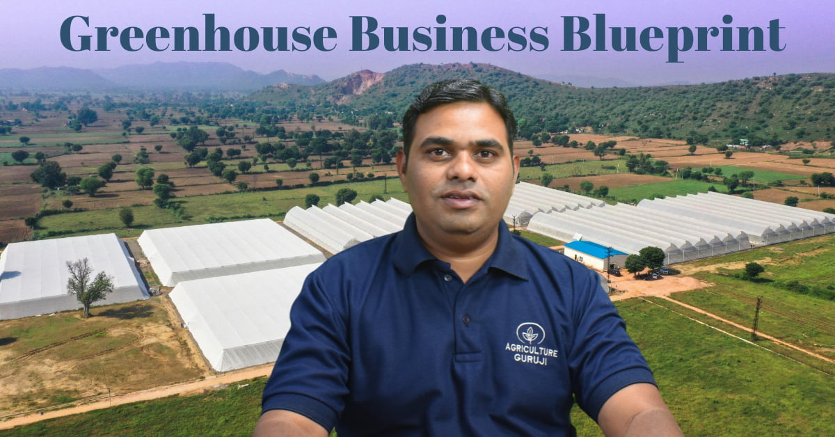 Greenhouse Business Blueprint
